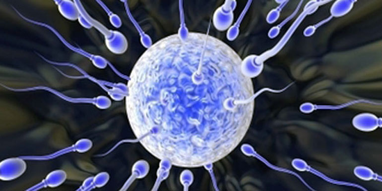 Yumurta Dondurma Nedir?